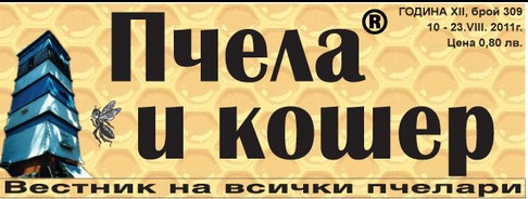 Пчела и кошер